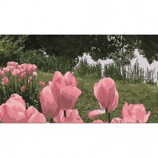 WW209 Розкішне поле тюльпанів, 50х25 см. Strateg. Картина за номерами (Стратег)