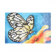 YAB28690 Чарівний метелик, 10х15 см. Strateg. Набір алмазної мозаїки без підрамника (круглі, повна). Стратег