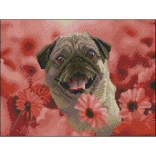 ZAV3040-62 Strateg Алмазна мозаїка - Щасливий мопс, 30x40 см (круглі, на підрамнику, Стратег)