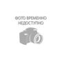 ZAV4050-41 Strateg Алмазна мозаїка - Чотири лапі 40x50 см (круглі, без підрамника, Стратег)